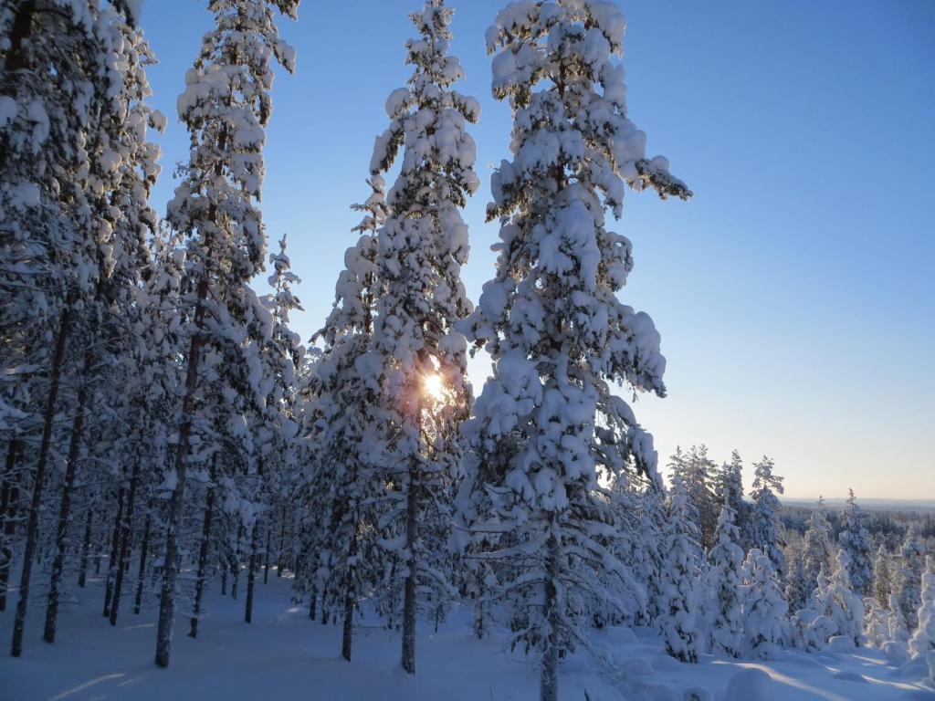 梅灵皮蒂小屋酒店 Naamijoki 外观 照片