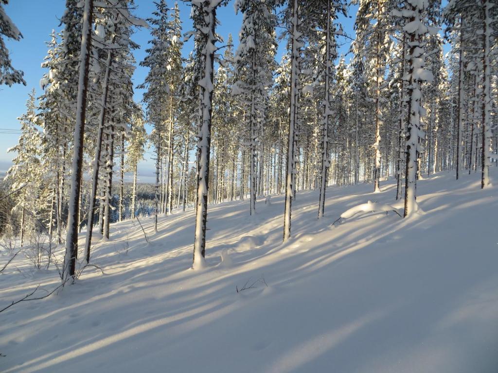 梅灵皮蒂小屋酒店 Naamijoki 外观 照片