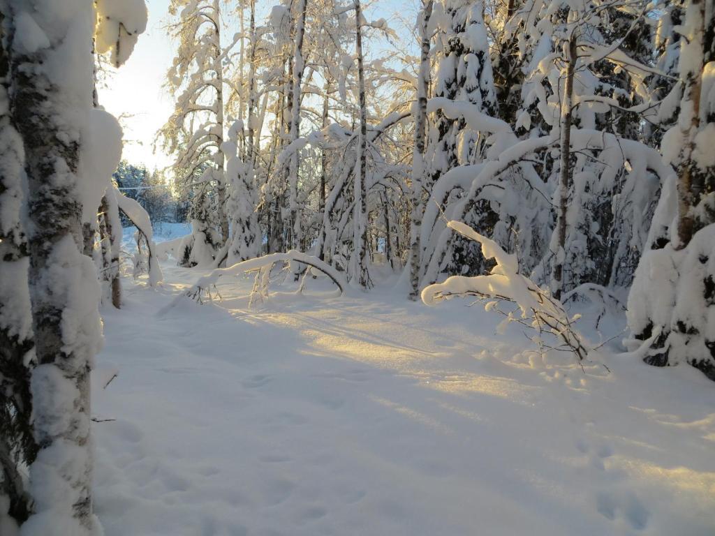 梅灵皮蒂小屋酒店 Naamijoki 外观 照片